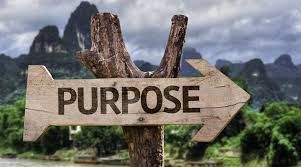 Werk vanuit purpose in alles wat je doet. Dit is 1 van de 9 fundamentals naar succesvol team- en leiderschapsontwikkeling buff.ly/2v2KSe6 #ebook #verandering