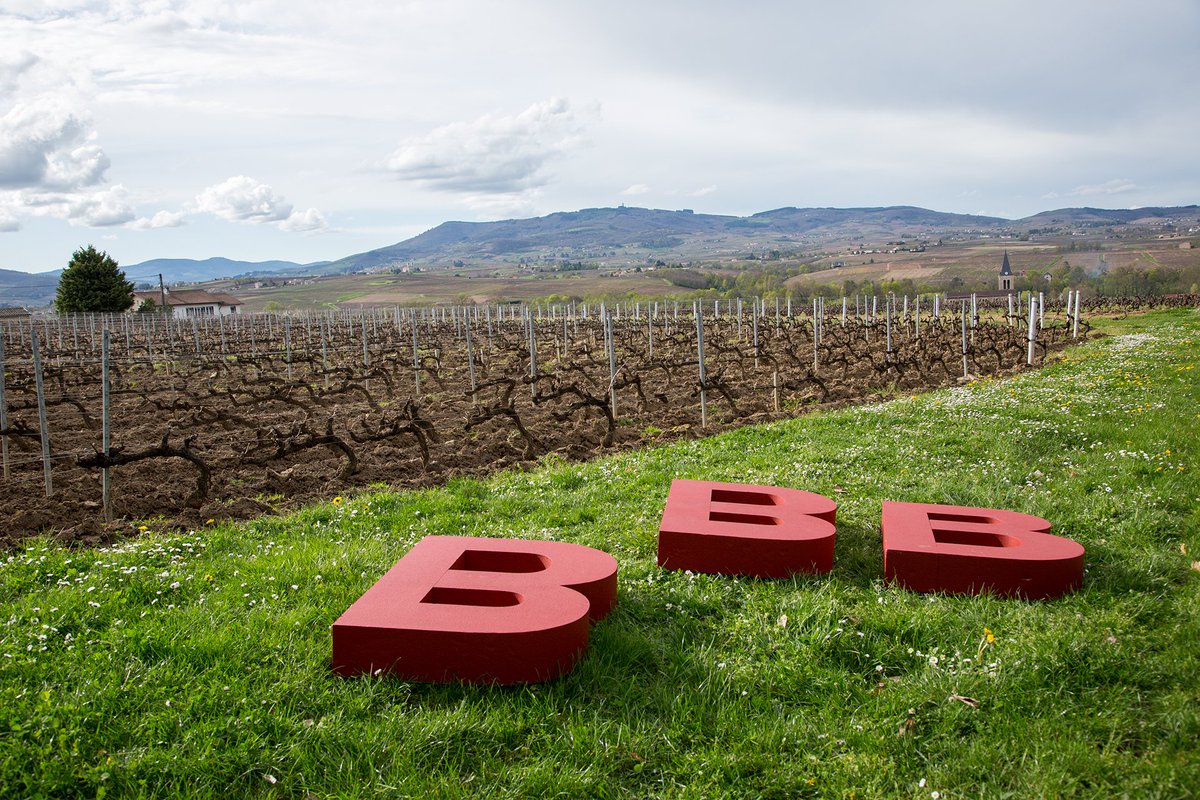 BBBeaujolais's tweet photo. Pssst... Il paraîtrait que l'heure est aux bonnes résolutions... et si vous preniez votre place pour la 8ème édition de Bien Boire en Beaujolais les 7 &amp; 8 Avril ? 
-
Inscriptions réservées aux professionnels, et ça se passe par ici 👉https://t.co/Cq75BYuJ5t
-
#beaujolais https://t.co/0q15GNenfh
