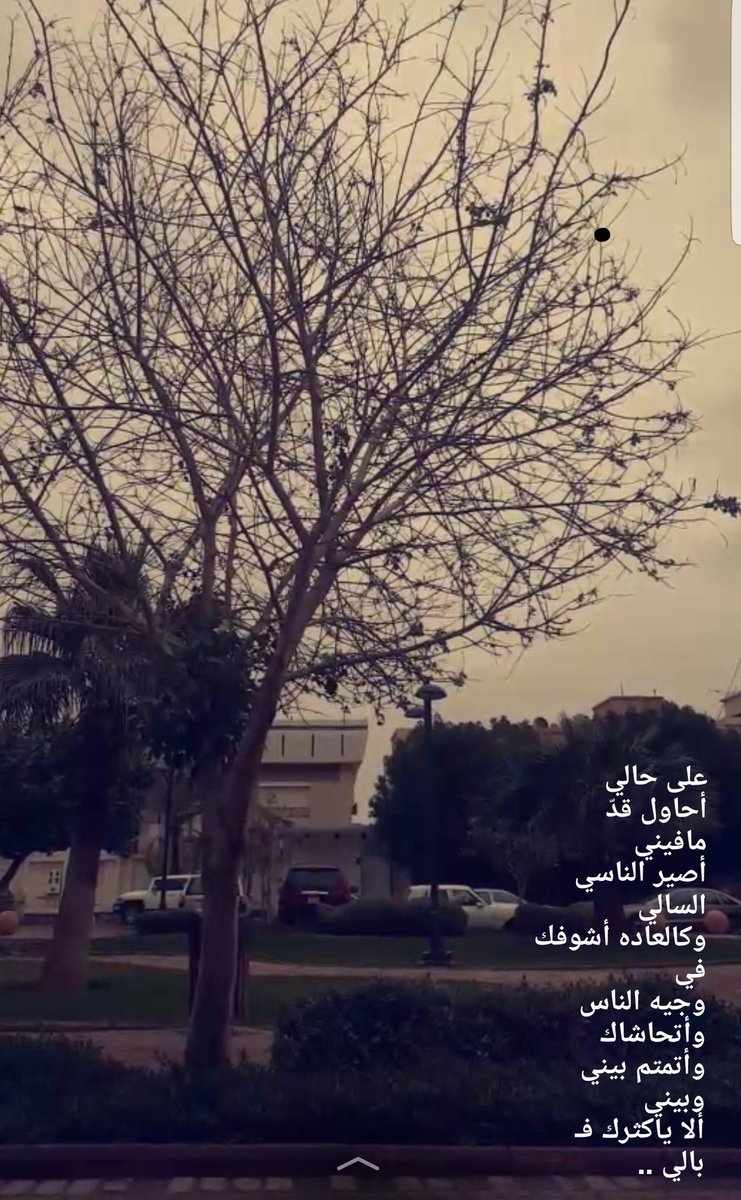 ‏وهم الاﻗ̮ـ̃ن؏ـﮧ💞 (@leen24591228) on Twitter photo 