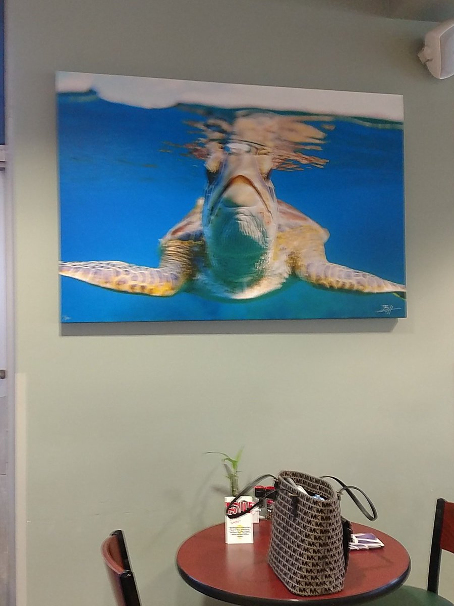 stephpwolf's tweet photo. An appropriate seat in the cafe. https://t.co/VFKCdHmOn3
