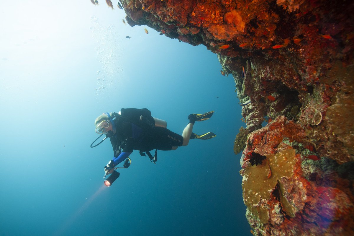 JunglePR's tweet photo. The best way to explore the #Maldives and discover the underwater world @visitmaldives @PADI @AquaLungDivers #ScubaSpa @scubadivingmag https://t.co/LvdJiEfT4r