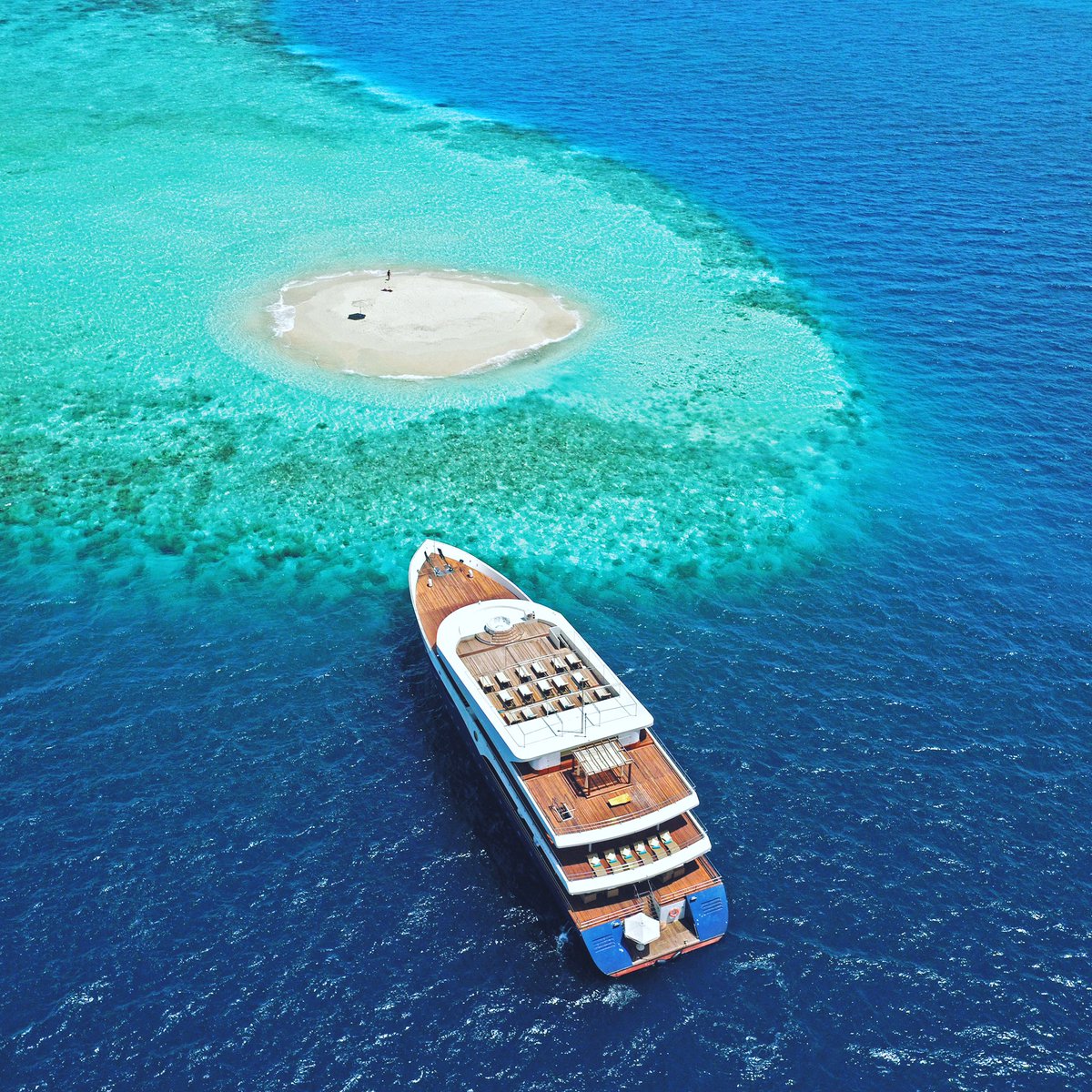 JunglePR's tweet photo. Take your Travel PR to a whole new depth! #Travel #TravelPR #Maldives #PR @AquaLungDivers @PADI #ScubaSpa 📸 @obluhelengeli #traveltips #Press #Review #journohour https://t.co/hPswl8YejK