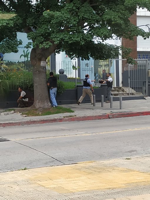 Ver imagen en Twitter