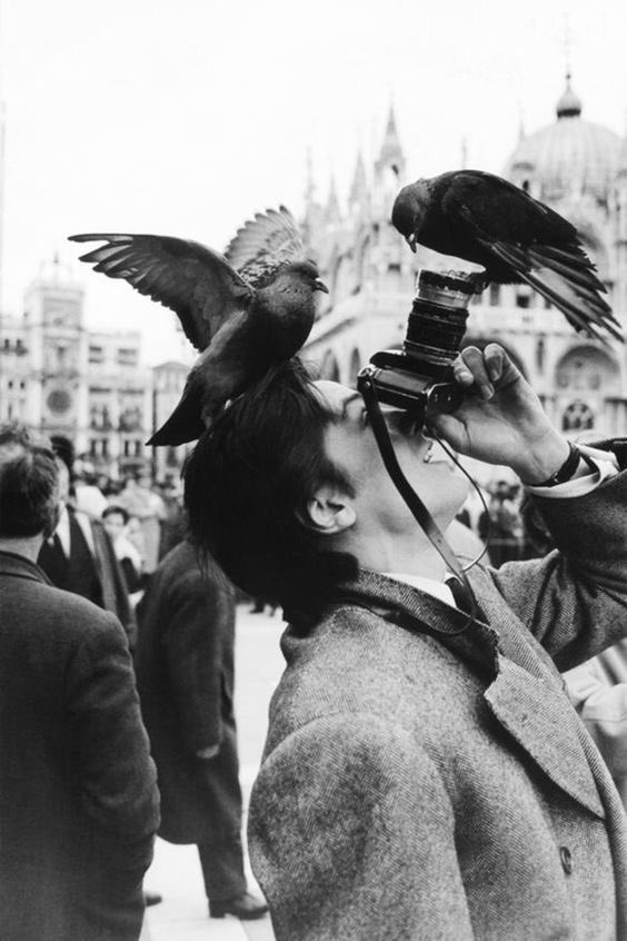 Alain Delon in Piazza San Marco, Venice, 1962. Photo by Jack Garofalo