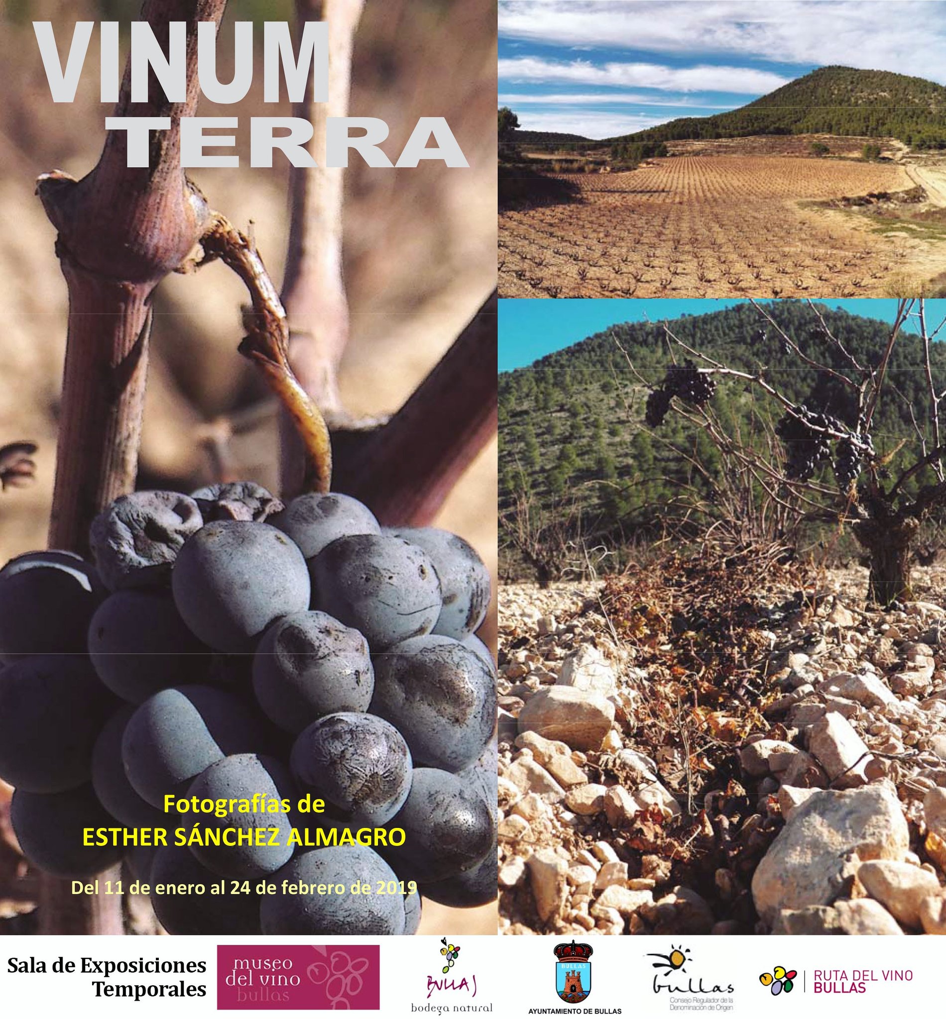 Exposición 'Vinum Terra' en Bullas