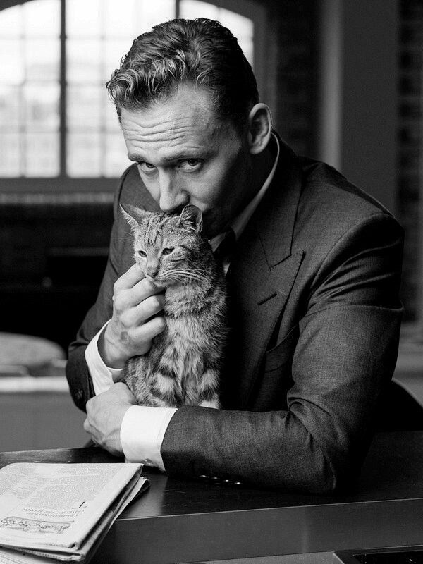 wwuxianlovesong's tweet image. Cat 😻💕💜
@HiddlestonSpam
#HiddlesLetterC