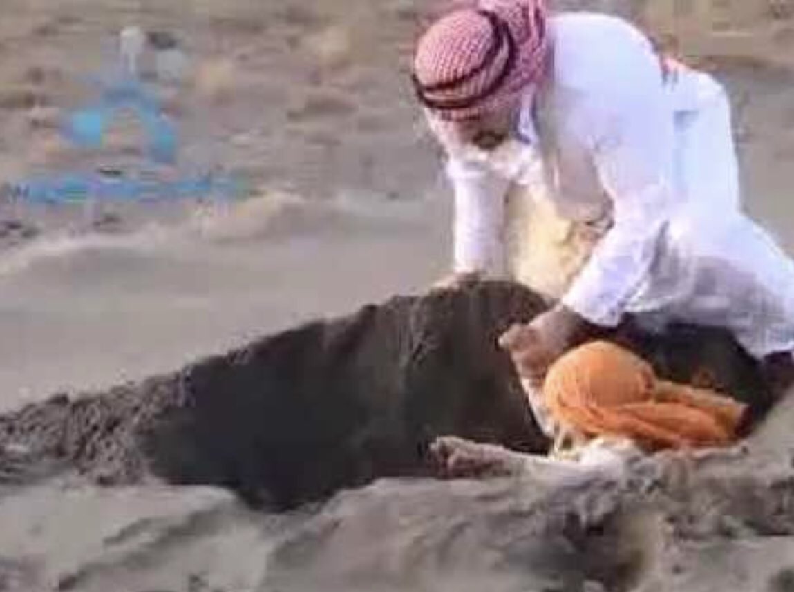 Dünya kurulduğundan beri kız çocuklarını diri diri gömen kültüre sahip tek millet Araplardır.
Bunun esas sebebi ise; ++