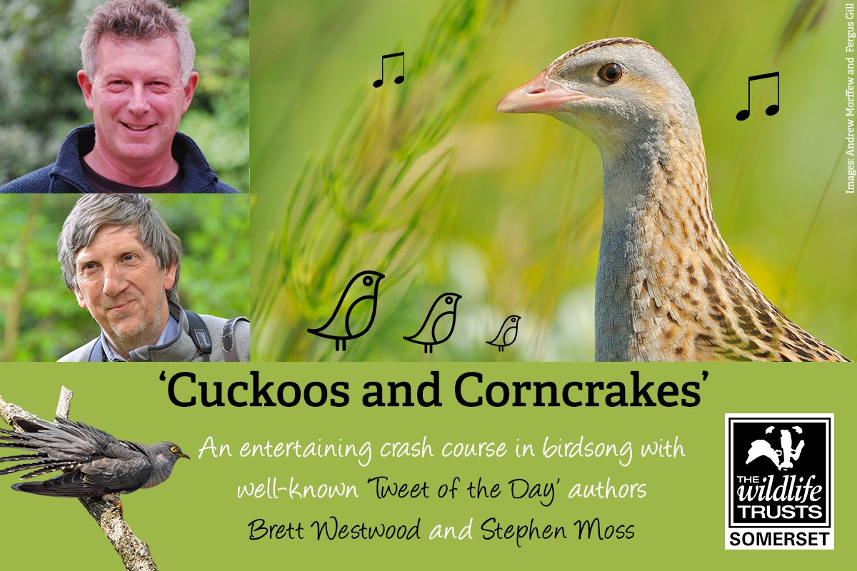 SomersetWT's tweet photo. Join us for #CuckoosAndCorncrakes with Tweet of the Day's @StephenMoss_TV &amp; Brett Westwood in #Frome on 28th March! A aural extravaganza for experienced &amp; new birders alike! @cheeseandgrain @frometimes  @fromediary @Giles_Adams https://t.co/1VPnf9X9zE https://t.co/Jg3dgA1oFU
