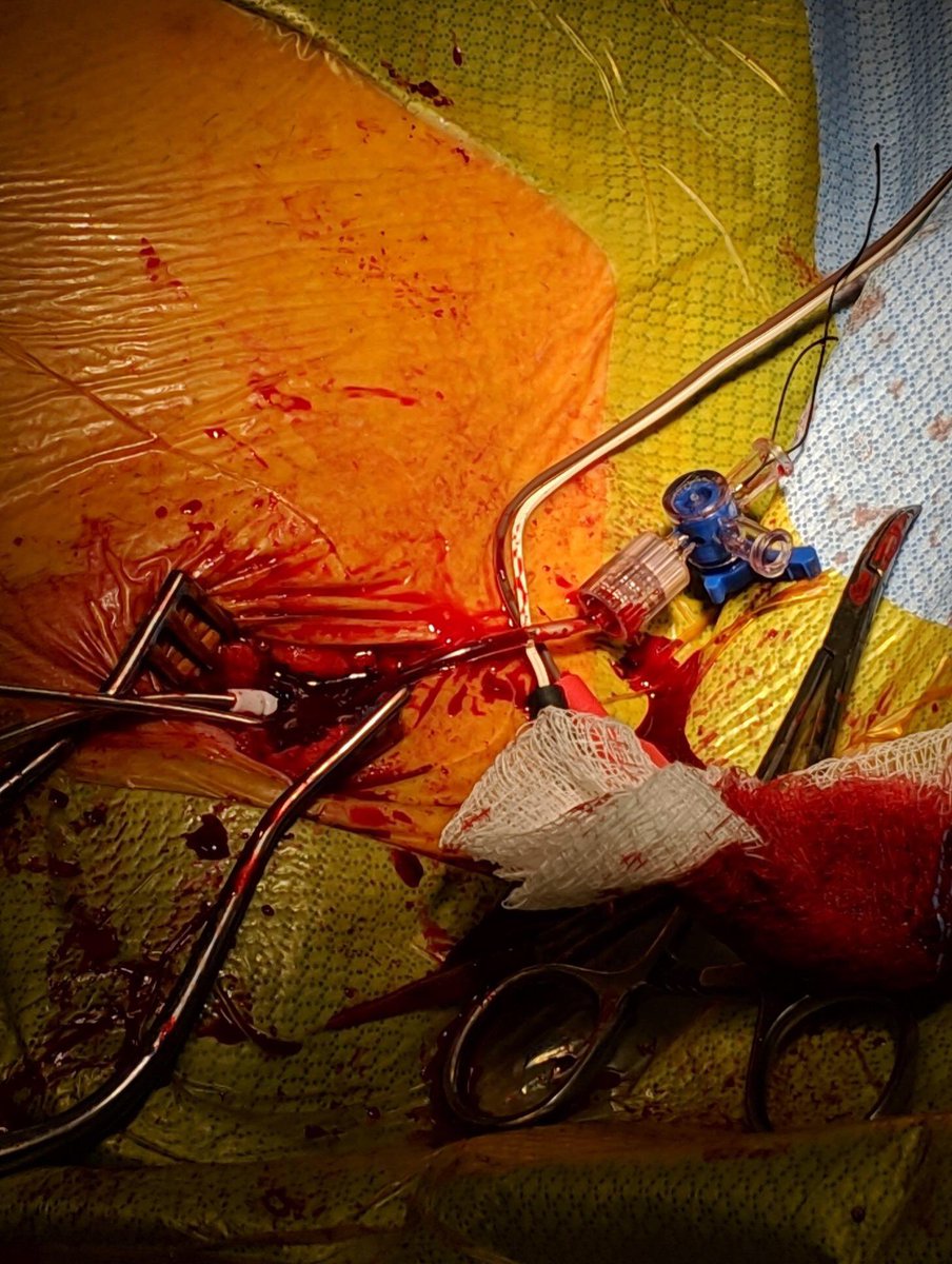 Jacob Koruth tweet media