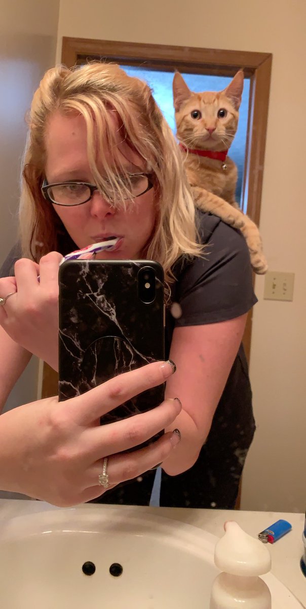 Apollo80860310's tweet photo. Kratos: Hi Mom!! ๐พ๐พ #CatsOfTwitter #AdoptDontShop #ParrotKitty https://t.co/7XtVfXU8fb