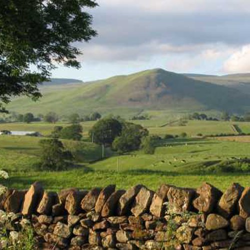What's On Appleby: SportsReach Weekend Whats on Appleby: SportsReach Weekend