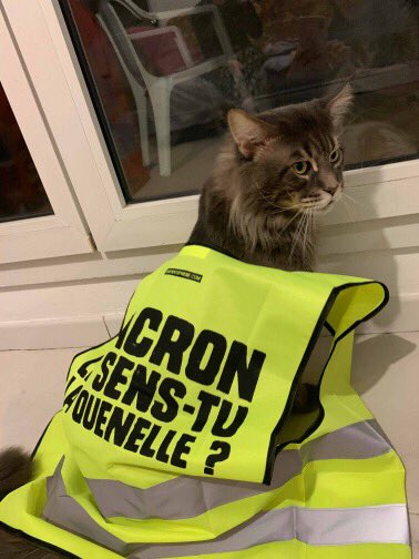 Dieudonne Officiel C Est Qui Ce Chat Dieudonne Officiel C Est Qui Ce Chat