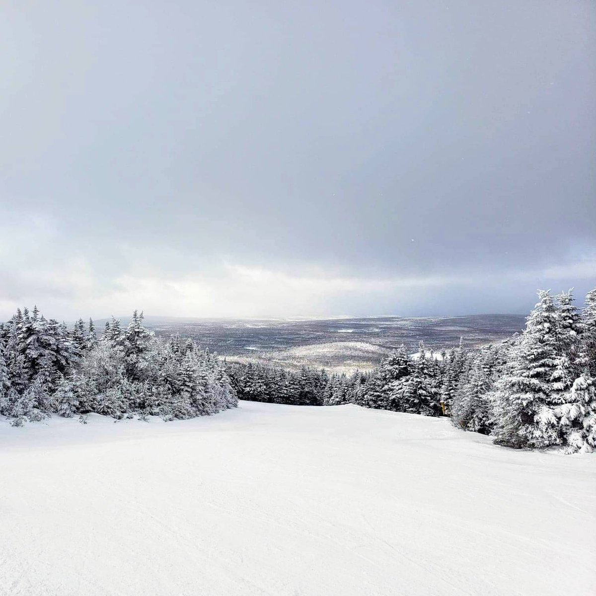 The Marble West Inn tweet media