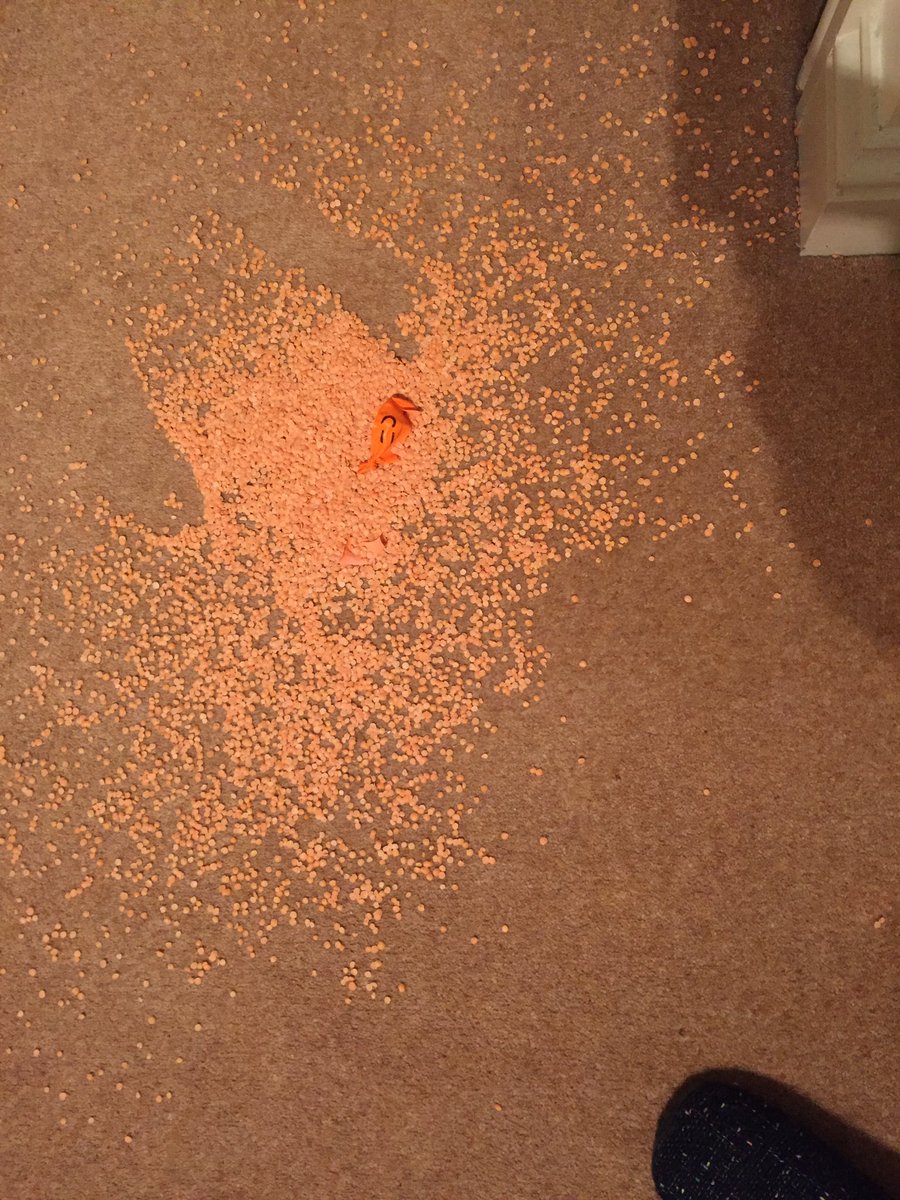 luxtoncyl's tweet photo. @NatGeoKidsUK this is what happens when your kids try this activity - lentil explosion! Not great for my stress levels! 🤦🏻‍♀️😩 Thank goodness they didn’t use flour! https://t.co/8ldPs1fx7b