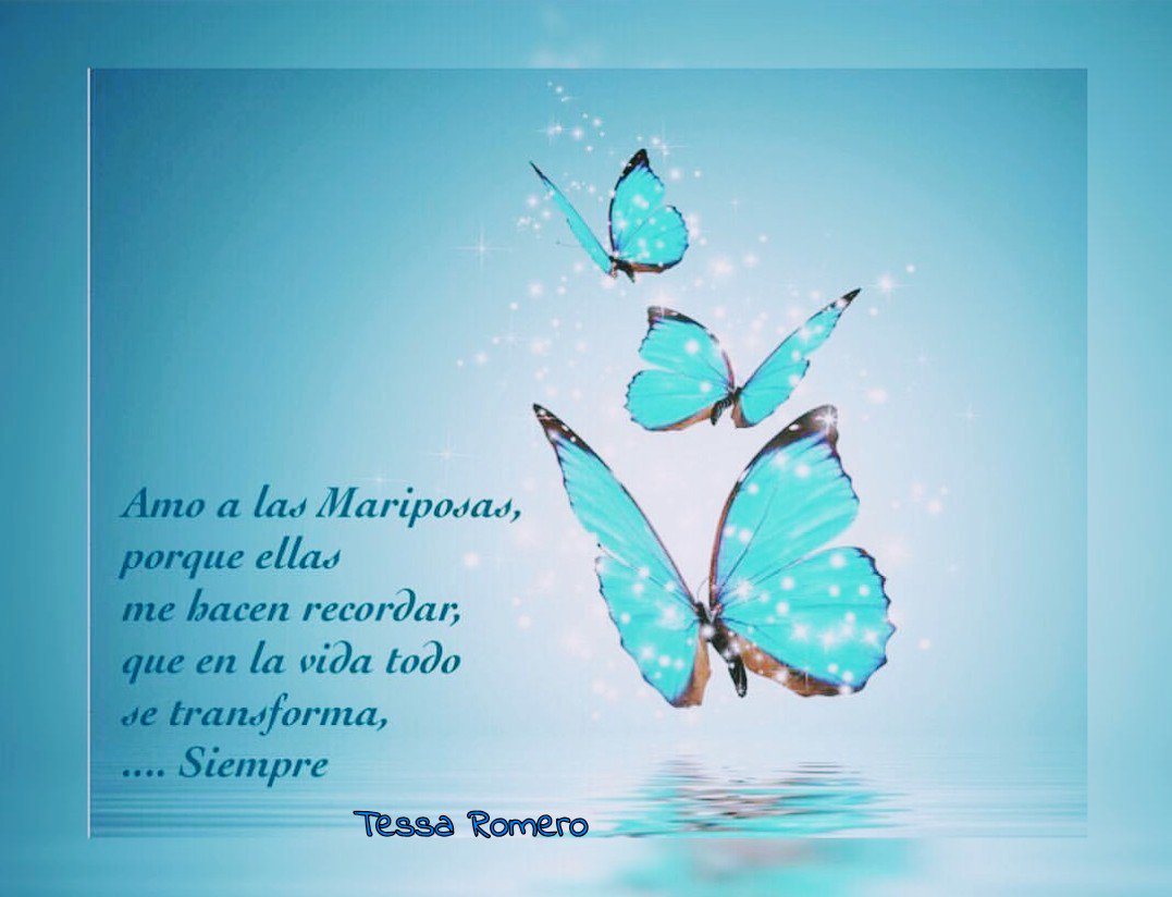 Tessa Romero on Twitter: Tessa Romero on Twitter: