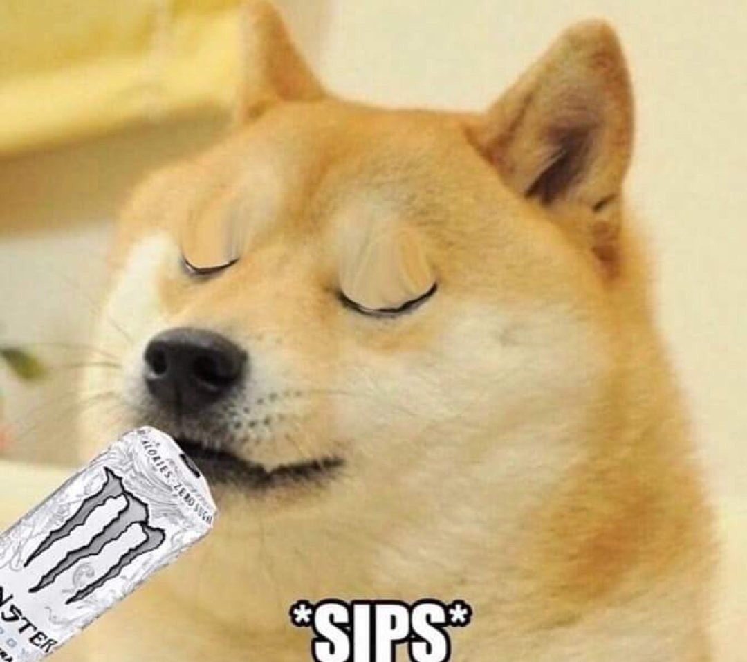 dogepoasting's tweet image. 