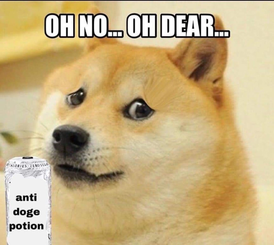 dogepoasting's tweet image. 