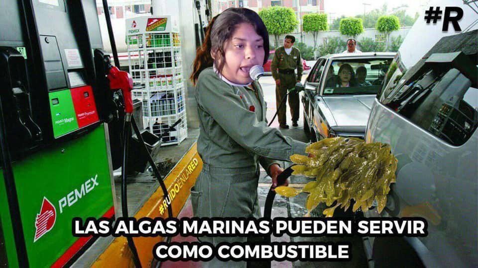 Ella tenía la solución y tan solo no hicimos caso 😪