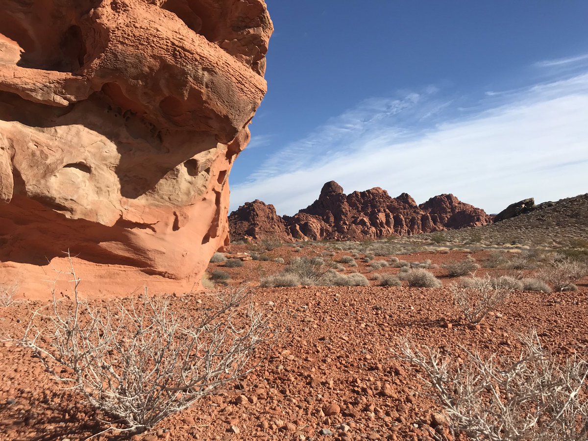 SiKrause's tweet photo. What a great @CES closing yesterday with our brand new @freightliner #newcascadia in the Valley of Fire. @DaimlerTrucksNA #DaimlerCES https://t.co/jA8PqIr5l5