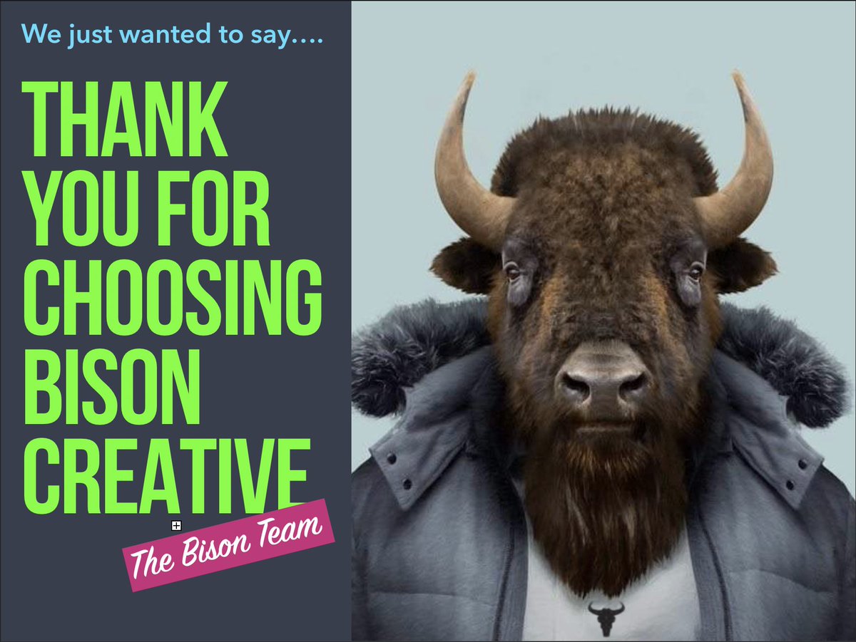 bisoncreativetm tweet picture