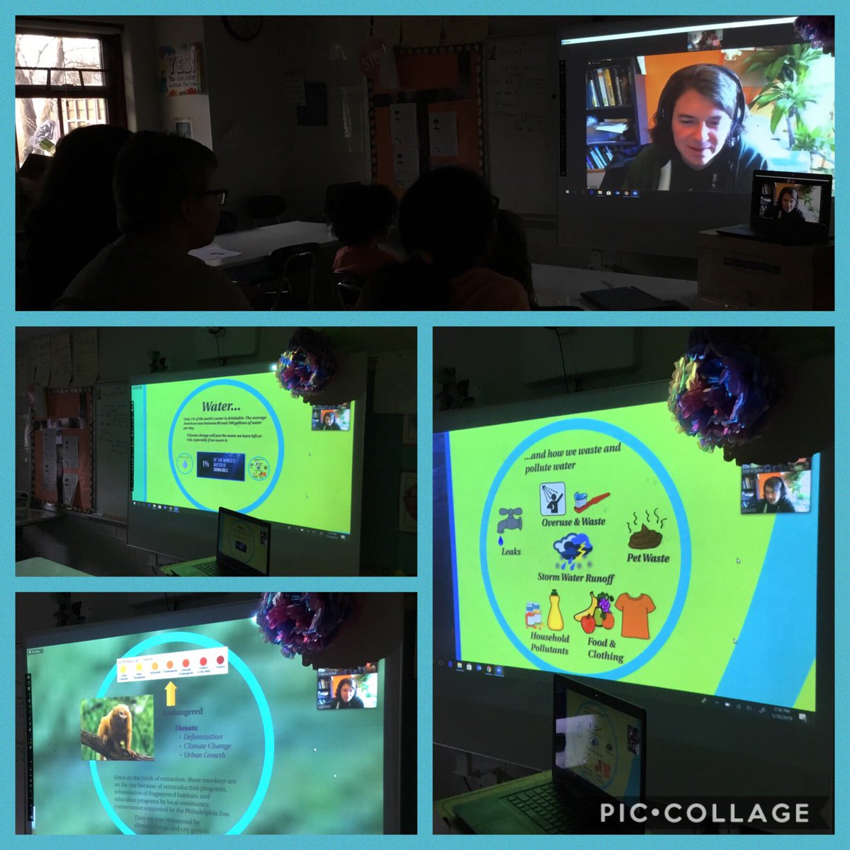 SelkesLair's tweet photo. We video chatted with the @phillyzoo to get started on our #unlessContest challenge today. #mch @TammiL38 https://t.co/CaUwrpaE83