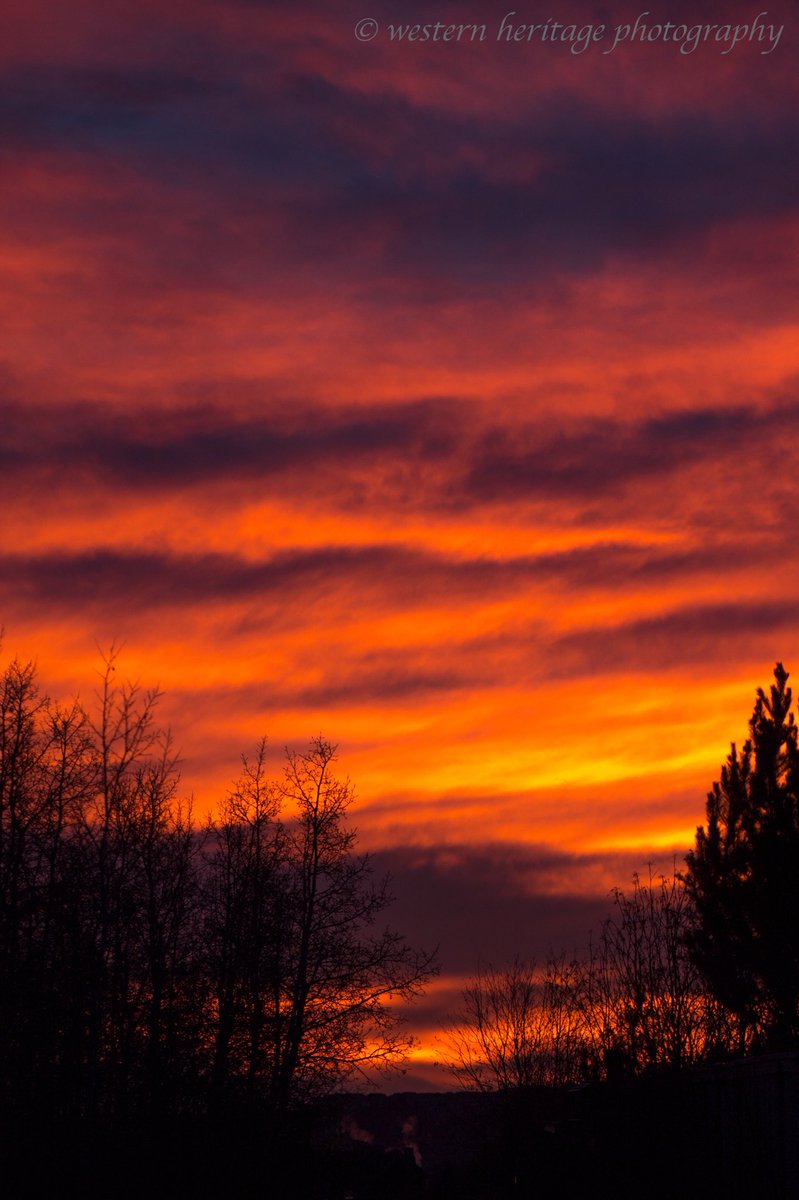 Good morning from Cochrane, AB - waking up to sunrises  like this most mornings is ‘living the dream’ - let’s see what tomorrow brings