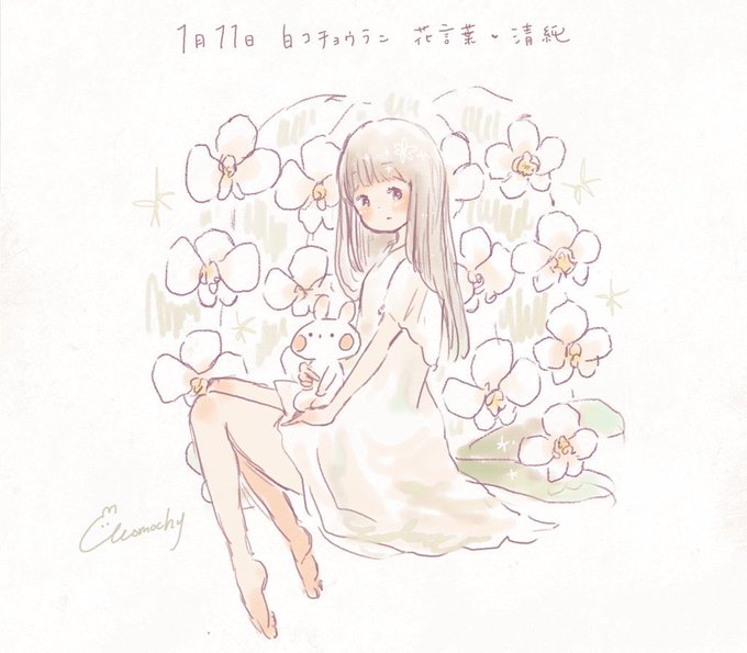 まいにち誕生花 さん の人気ツイート 4 Whotwi グラフィカルtwitter分析 まいにち誕生花 さん の人気ツイート 4 Whotwi グラフィカルtwitter分析