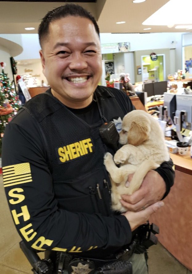 sacsheriff photo