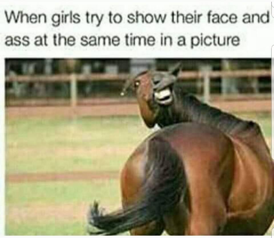 funnylaugh4u's tweet photo. https://t.co/1ndenXgH86