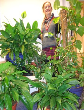 Today is #HouseplantAppreciationDay, benefits of plants include help reduce stress & sickness, clean the air, boost creativity, increase productivity, reduce noise, make work spaces attractive & lower carbon footprint. Here’s a few of ours at #InspiringRecovery with Maxine 😀