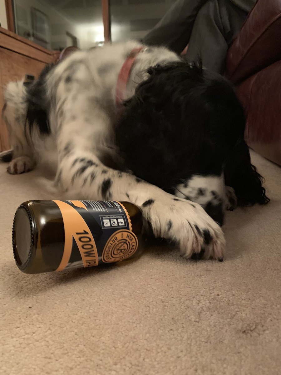 michael231195's tweet photo. @BeerBods Tonight’s taste test is going down a treat! https://t.co/IDfKSkJXjV