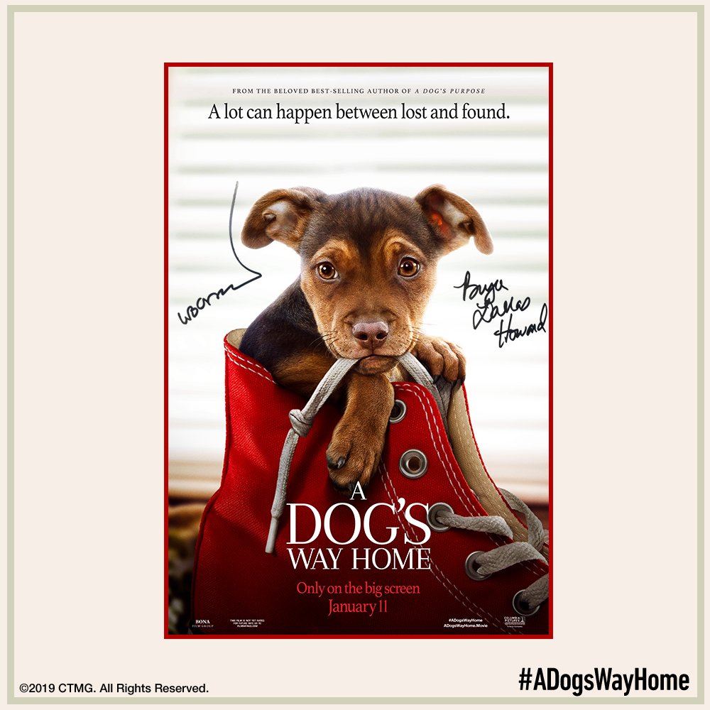 68 New A dogs way home harkins with Simple Decor