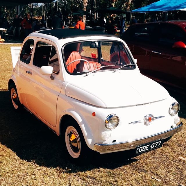 Team_T124's tweet photo. Happy Fiat Friday 
___________________
#t124 #T124racing #FiatFriday #Fiat #classicfiat #drivetastefully #italiancar #italiancars #italian #classiccar #madeinitaly #carsofinstagram #classicitalian #car #caroftheday #italy #vintage #carspotting #cars #car… https://t.co/UBIjkqipVu https://t.co/v3XvGLDSHs