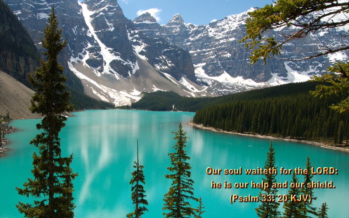 Bickle #AmericaFirst tweet media