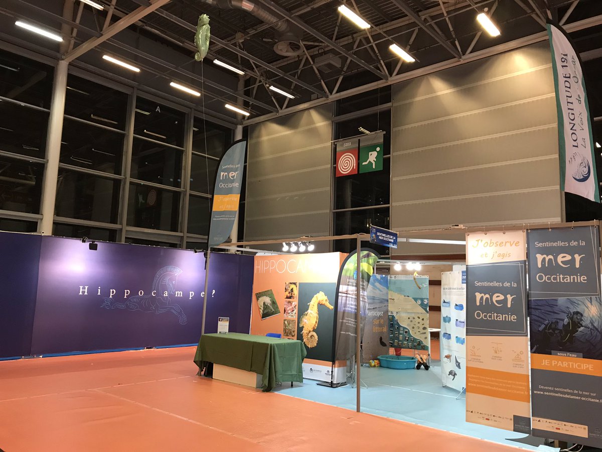 CPIE_Thau's tweet photo. Nous sommes prêts ! Stand #sentinellesdelamer @Occitanie #exposition #hippocampe au @Salon_Plongee . Venez nous rencontrer !!! Et découvrir notre livre #hippocampe https://t.co/3ZoQBJ8ebV
