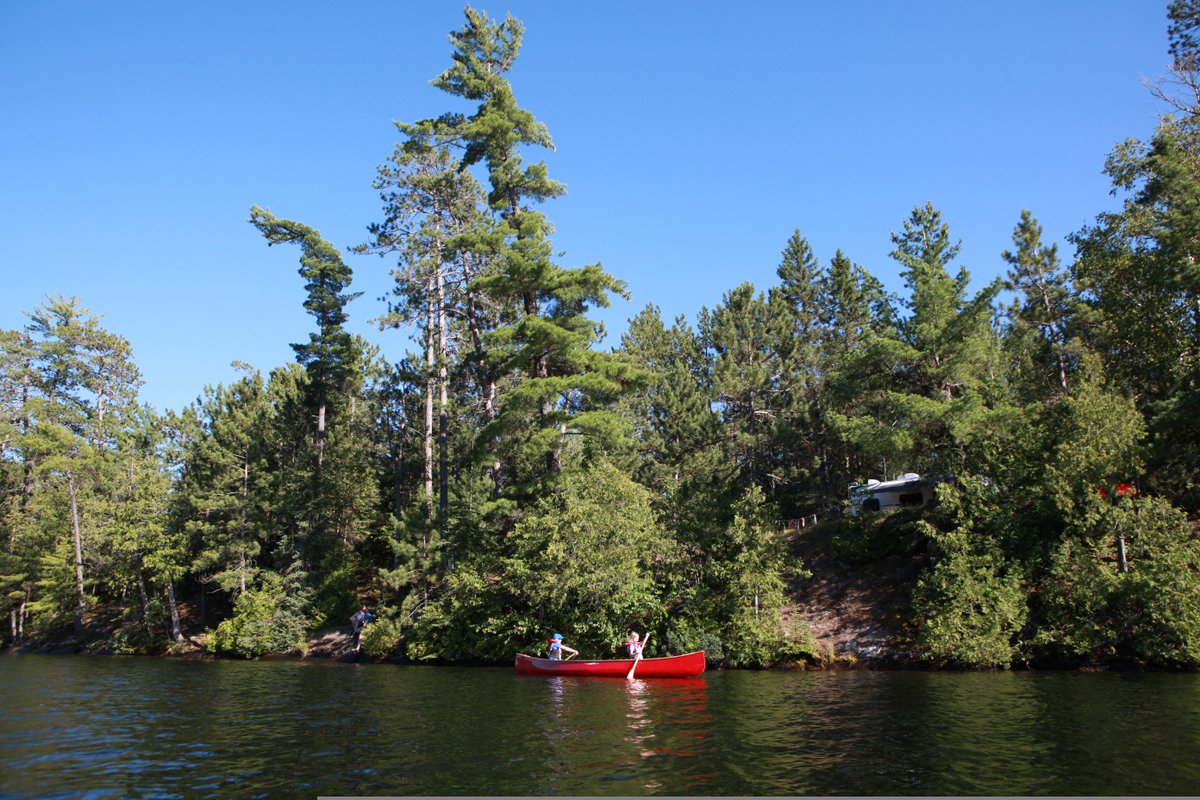 OntarioParksNE's tweet photo. Lake Temagami is a wonderland of islands, deep blue waters, hidden coves and towering old growth pine forests.  

#FinlaysonPointPP makes a great base to explore this huge lake from, and in fact, the entire #Temagami region...

https://t.co/xTcidvSUQf https://t.co/ogSkv3ChMA