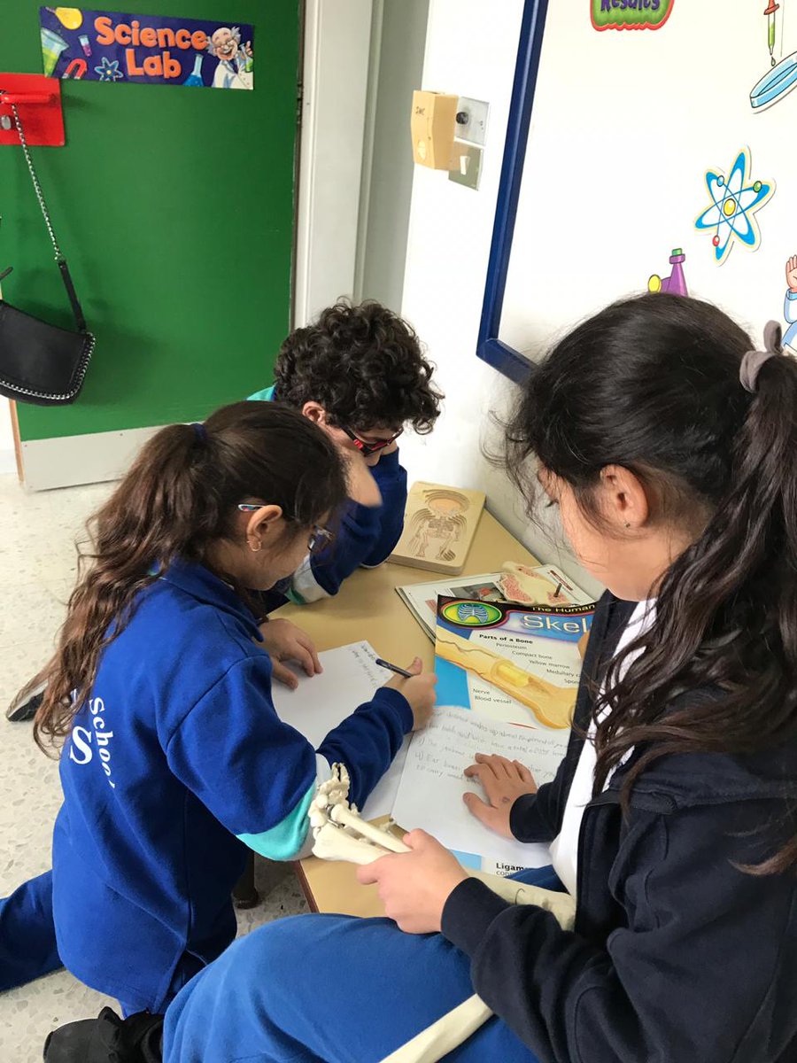 RHHS_Elementary's tweet photo. BE3C students busy applying their research skills to conduct researches about various body systems #science_lab #differentiated_groups https://t.co/f5seWgC2DD