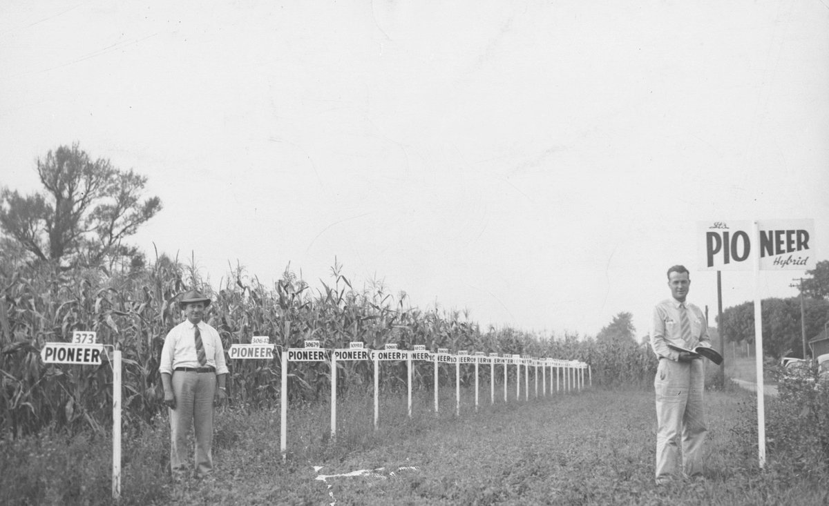 CortevaUS's tweet photo. #ThrowBackThursday to an early @PioneerSeeds demonstration plot. #CortevaHistory https://t.co/2ha4xTwCtL