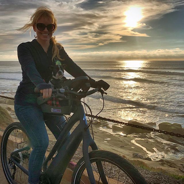 Finally got a break in the chilly weather and we’re soaking up the rays at #windansea #surfisfiring #odinisinhiselement #lajolla #mylajolla #bostonterrier #dogsonbikes #specializedcomo