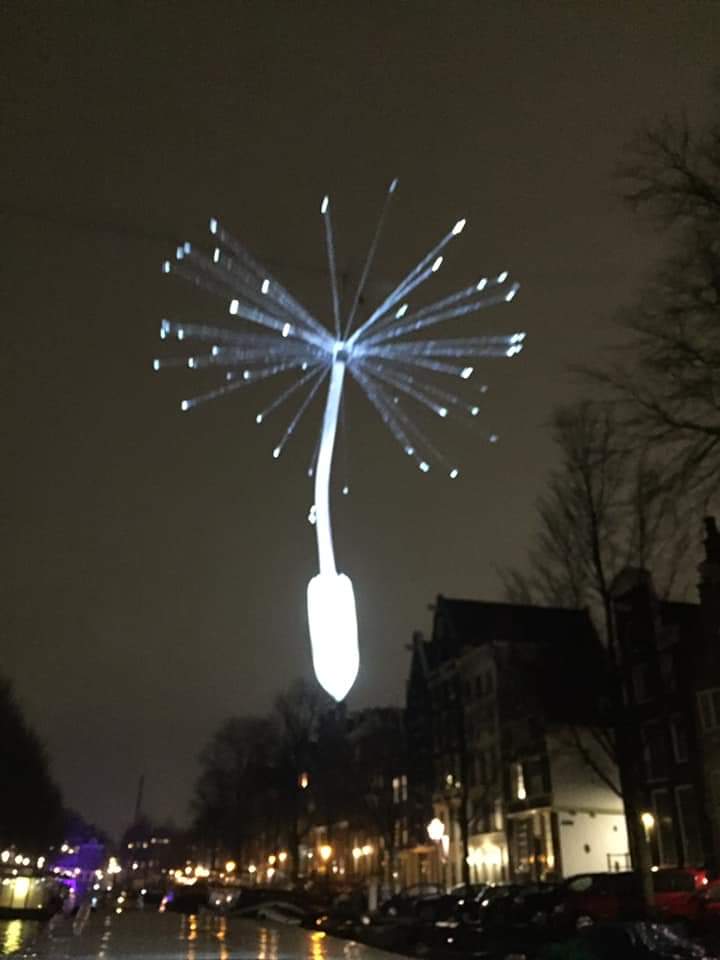 HarcoPloegman tweet media