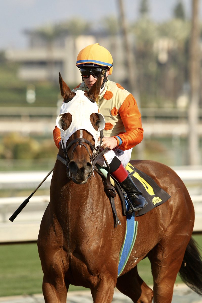 SA Press Box tweet media