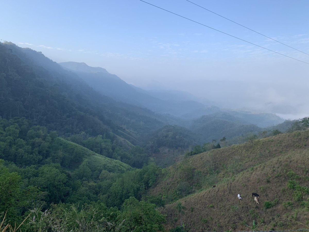 2019_smart's tweet photo. Our view from the hotel 🏘#sanJacinto #montesDeMaria https://t.co/Am2cuzf7HJ