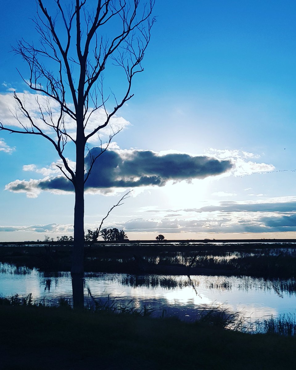 horaciojrios's tweet photo. Venís en el auto y de golpe te chocas con esta foto #sinfrenar #sinfiltro #rutasargentinas #cielo #agua #nubes https://t.co/qg4t1ZkuBs