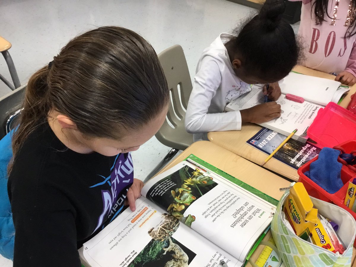 MrsRomerosClass's tweet photo. Sorting and graphing animals with and without backbones #connectingmathandscience @Lafayette_25 https://t.co/bpx3qZkvrJ