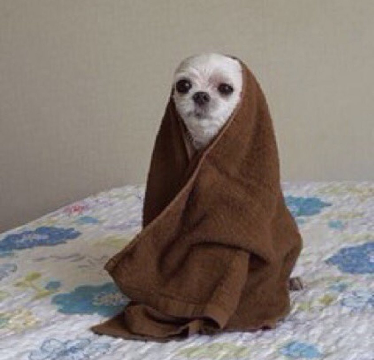 Official_nakia's tweet photo. Me sitting in a towel for 13 years after a shower https://t.co/3XO0ZVHOhi