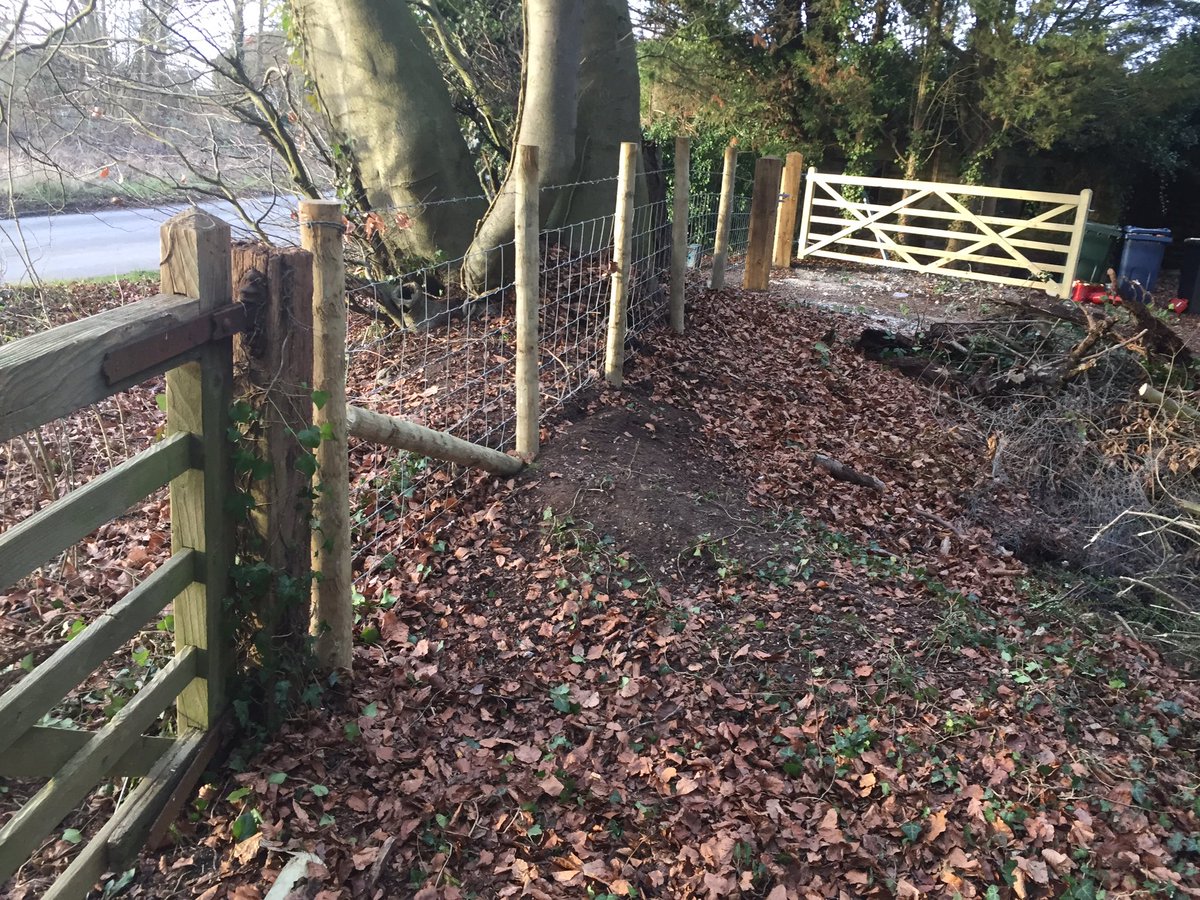 AcbFencing's tweet photo. #gate #stockfence #Marlow https://t.co/NbfWP6RS2Y