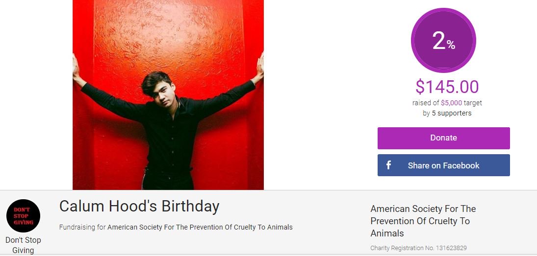 DontStopGiving5's tweet photo. There are officially 15 DAYS LEFT until @Calum5SOS's drive ends (and our boy turns 23)! Currently, you’ve all helped us raise $145 for the Drive/@ASPCA!

Think we can get the drive to $200 before #calumhood's birthday on January 25th? :)
Donate here: https://t.co/DYzc6mikov https://t.co/QVtfBvn5ty