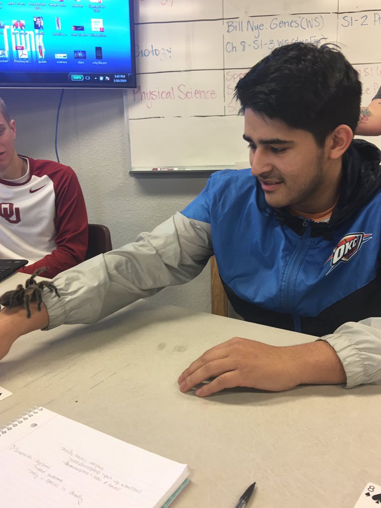 science_007's tweet photo. We had a special guest today #zoology #ChileanRoseHairTarantula @PaulaHarp10 @ChadOPugh @D_Up_D_Up https://t.co/FDZILSHSrq