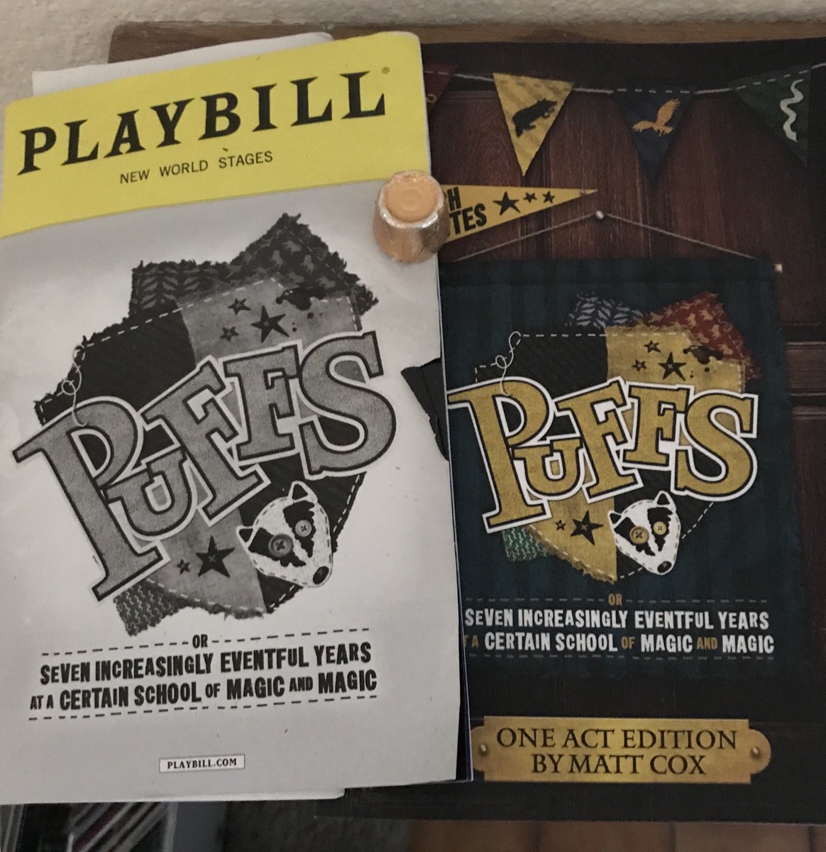 paul_w_ellis's tweet photo. So happy my @PuffsPlay book arrived! #puffhug https://t.co/N9TrPJnKWM