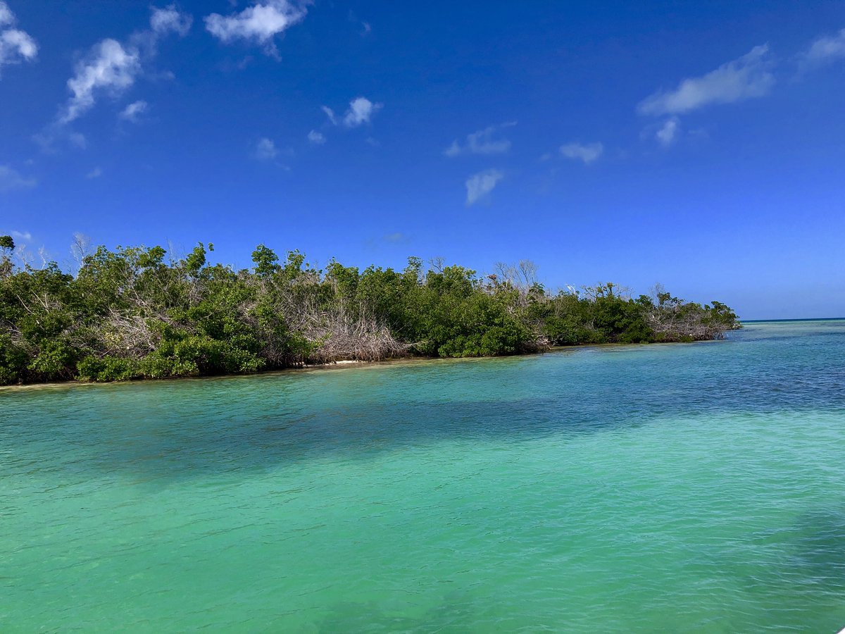 ShineTribe's tweet photo. Content Keys #FLKeys #Florida #FloridaKeys #travel #boatinglife https://t.co/JH1n7homJI